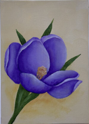 Crocus - Painting Packet #0253